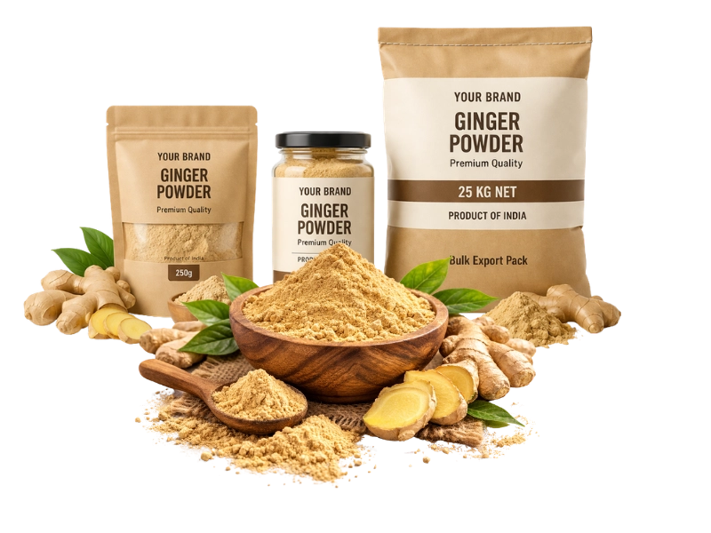 Bulk ginger powder exporter from India supplying global importers
