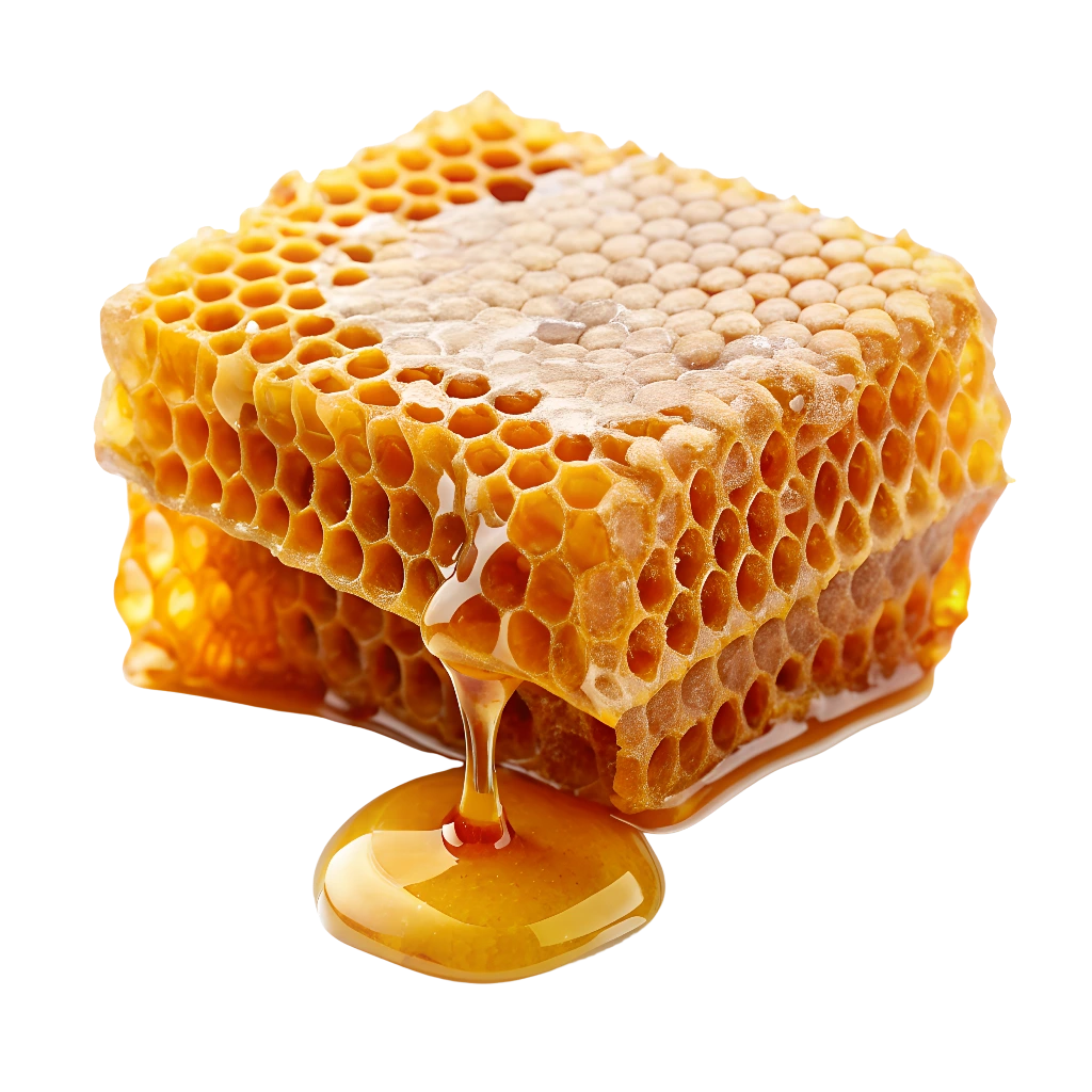 Apiary honey India supplier