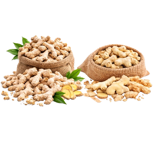 Export grade dry ginger whole and sliced from India