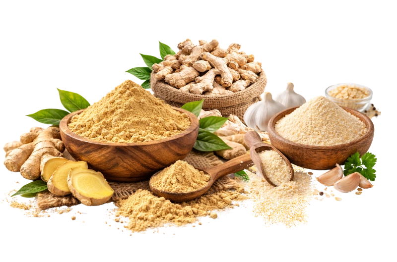Premium Indian Spices Dry ginger