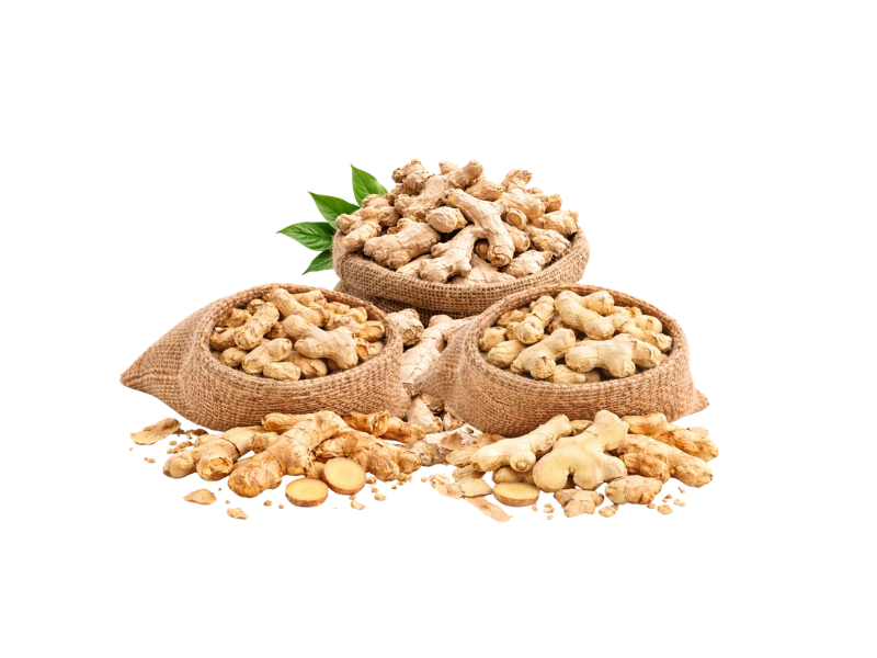 Dry ginger supplier for export