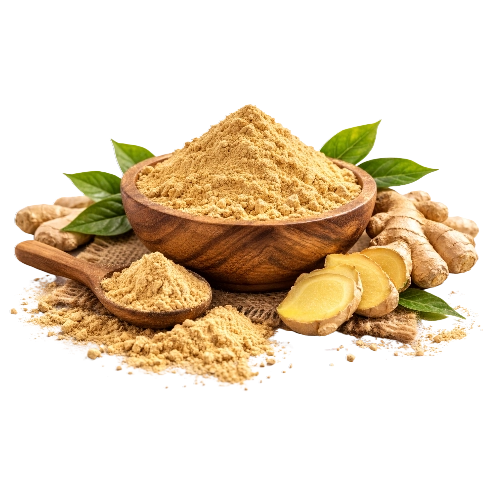 Export grade ginger powder bulk supplier from India