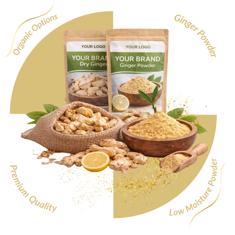 export-grade ginger powder bulk supplier from India