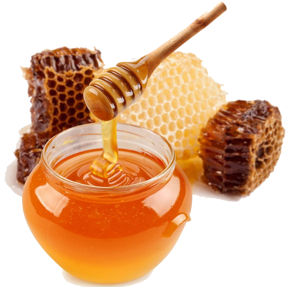 Honey processing export India